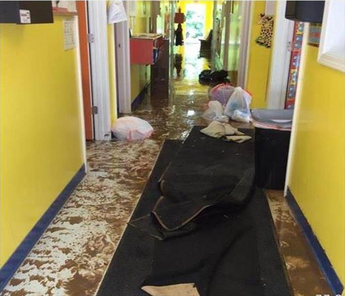 filthy debris, sewage backup in hall, carpet moved