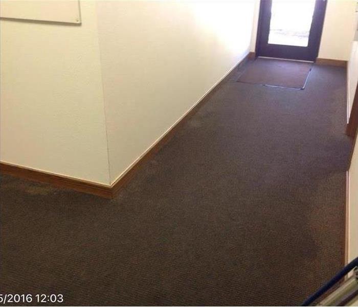 water-soaked brown carpet in a corridor, yellow walls