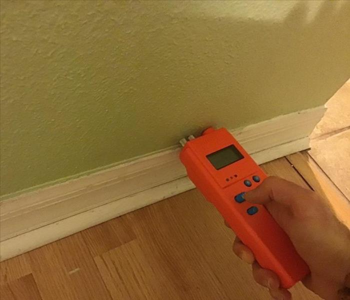 Technician holding an orange moisture meter testing a green wall