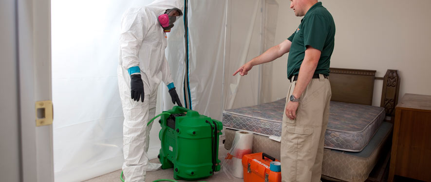 Bloomingdale, FL mold removal process